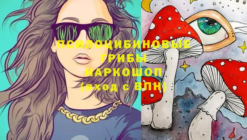 Псилоцибиновые грибы Cubensis  даркнет как зайти  Ужур  купить закладку 